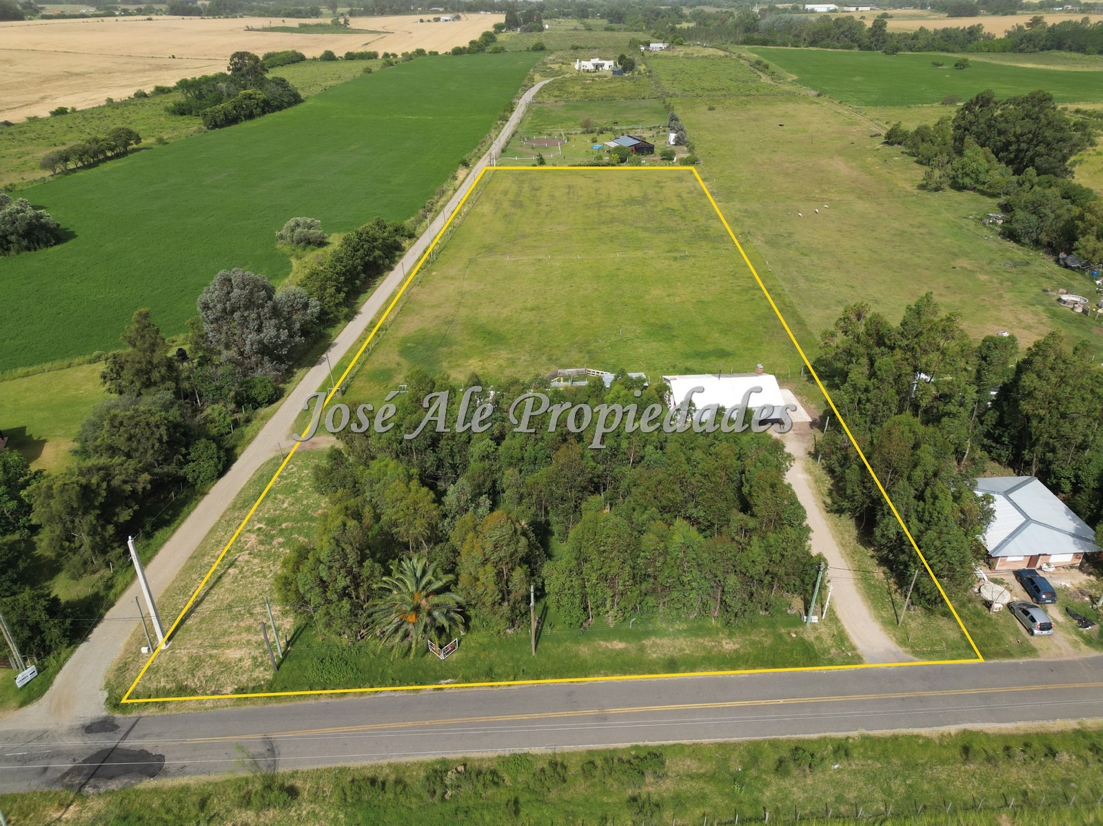 2631_WhatsApp Image 2026-01-19 at 14.11.48.jpeg